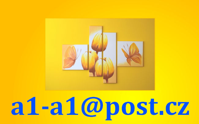 Kontaktní email do poradny pro Celostní přístup Liberec